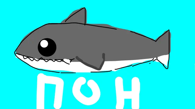 Пон акула. Пон Мем с акулой. Акула с надписью Пон. Акула Пон блоптоп.